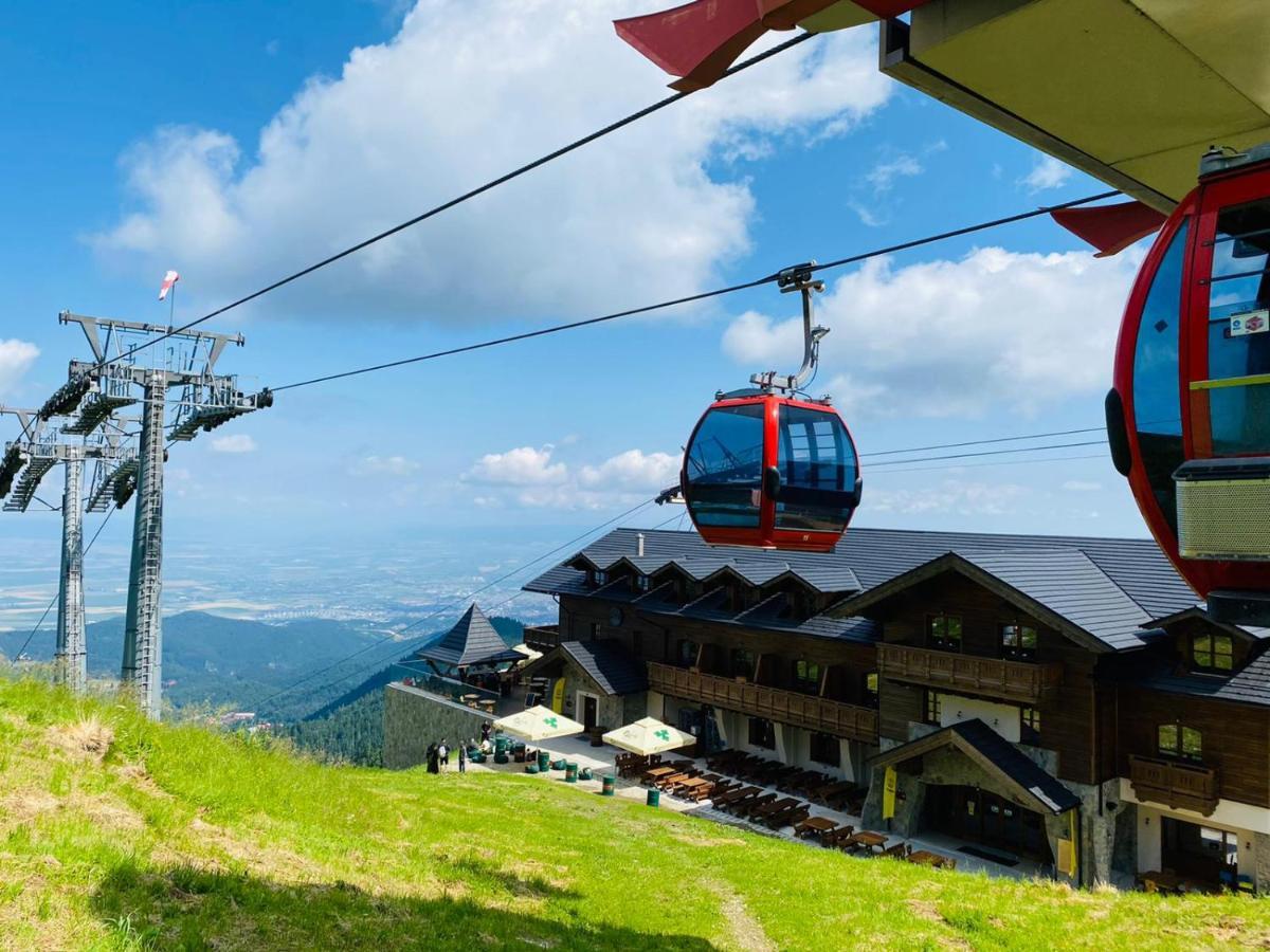 Yager Chalet โปยานาบราซอฟ ภายนอก รูปภาพ